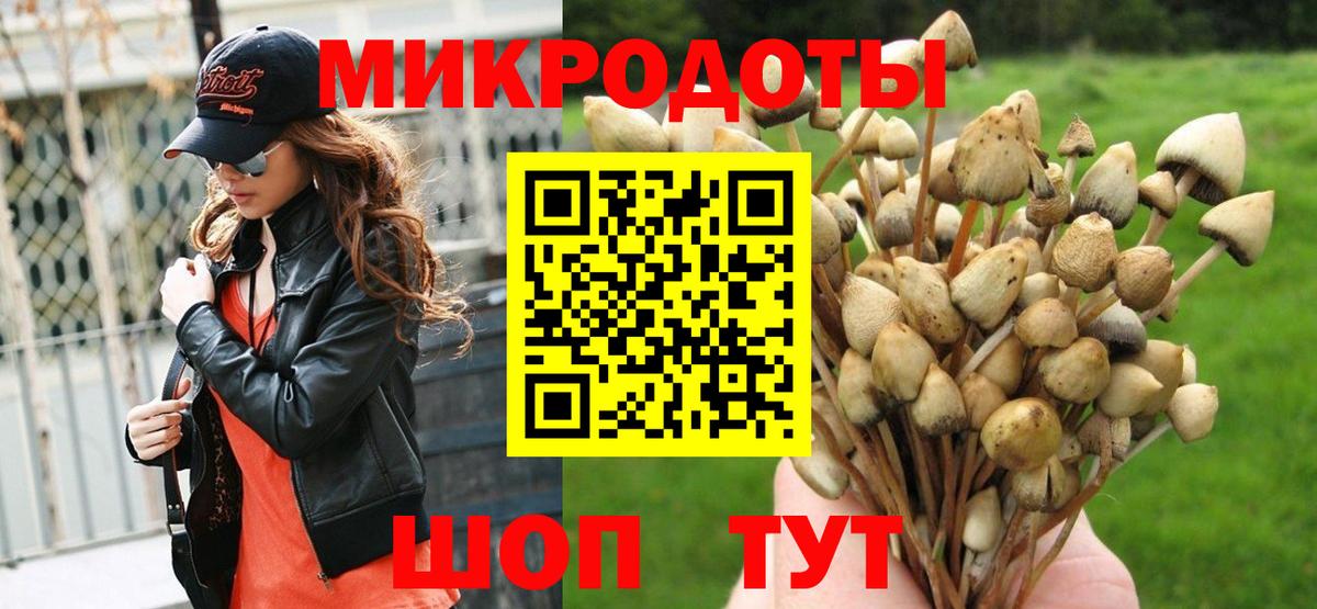 Грозный  Псилоцибиновые грибы GOLDEN TEACHER  Вход с VPN 