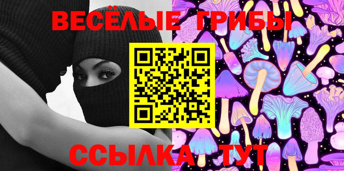 Псилоцибиновые грибы ЛСД Грозный